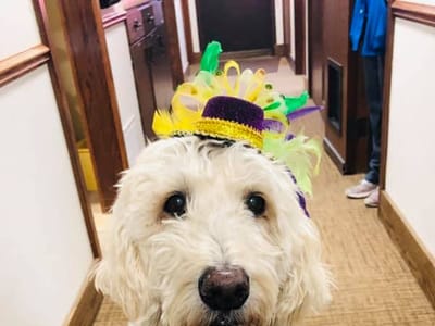 Rose Hill Family Dentistry