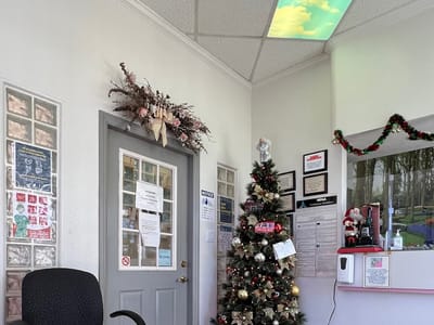 Rose M Feliciano - Family Dentist in San Jose