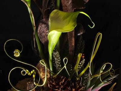 Sagawa Dental - Drs. Dennis and Kevin Sagawa