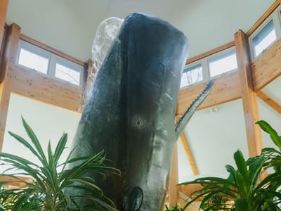 Salem Family and Cosmetic Dentistry