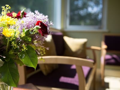 Santavicca Dental Professionals