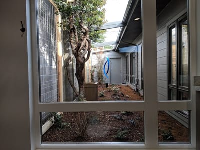 Sara Riechers DDS: Compassionate Dentistry