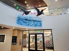 SCF Children's Dental Clinic