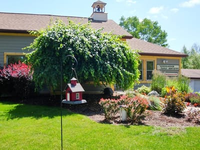 Schoolhouse Family Dentistry