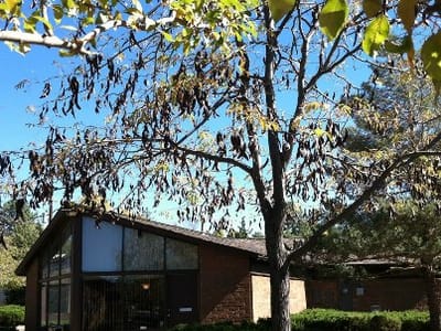 Scott A Darlington DDS