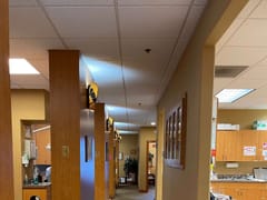 Scott F. Futch, D.D.S.