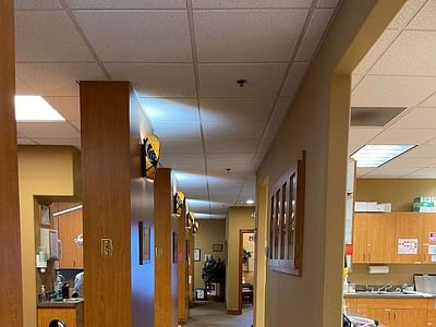 Scott F. Futch, D.D.S.