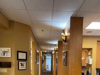 Scott F. Futch, D.D.S.