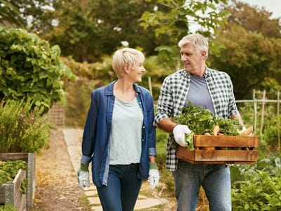 Scottsburg Dental Care