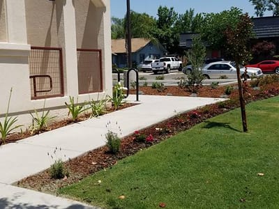 Settimi Family Dentistry