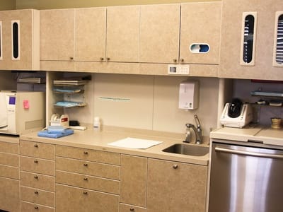 Shelley Kaur, DDS - El Dorado Hills Dentist