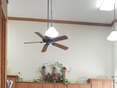 Shelton Dental Clinic