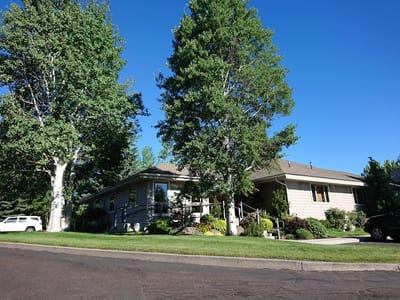 Shevlin Dental Center