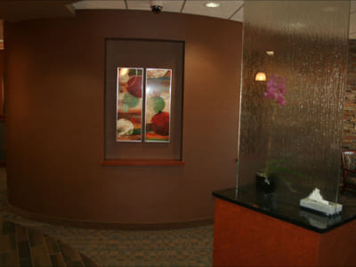 Shirene Orandi DDS Eagan Dentist