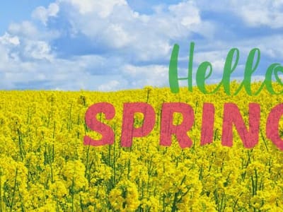 Signature Dental - Dr. Vijeyta Bhatia, DDS