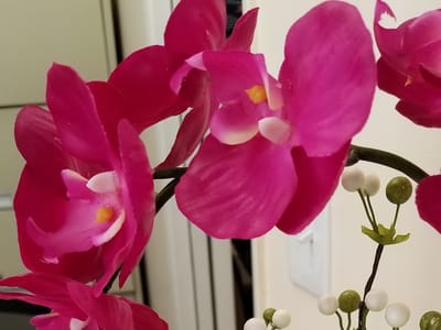 Silver Lake Family Dental