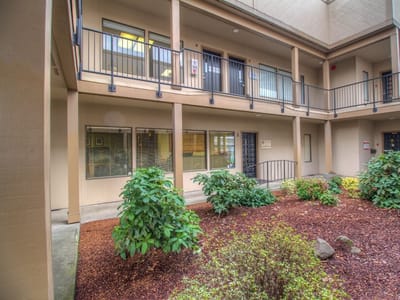 SmileAlive Dentistry