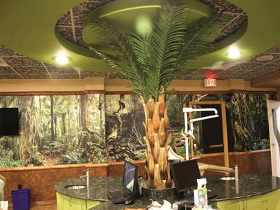 SmileKrafters - Allentown Dentist