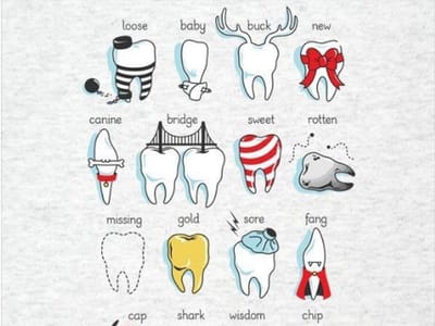 Smilesavers Dental | Cosmetic Dentist, Kids Dentistry, General Dentistry in Sunnyvale