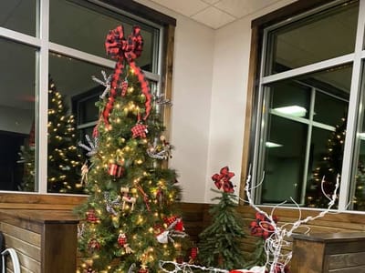 South Coast Family Dentistry