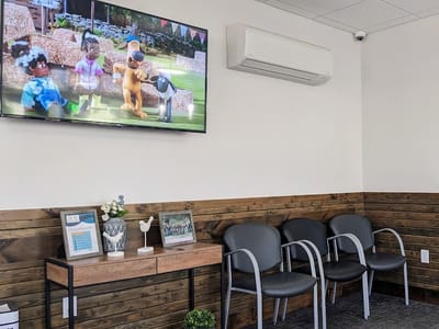 South Coast Family Dentistry