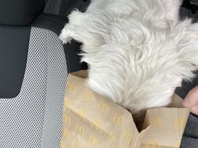 Southdale Dental Associates