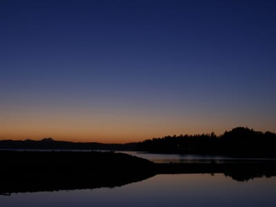 Southeast Dental Centers, Inc.