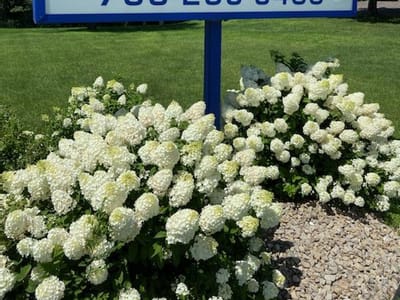 Southside Dental Center