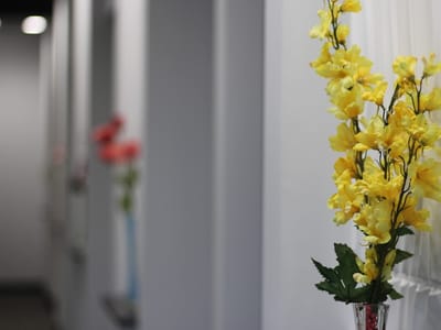 Space City Smiles Spring Branch Dentist