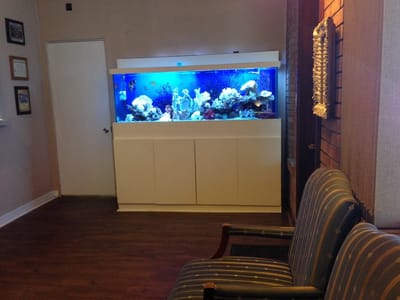 Spilman Dentistry: Jeffery A. Spilman DDS