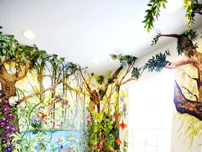 Springville Dentistry