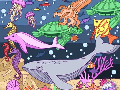 St Andrews Dental Center