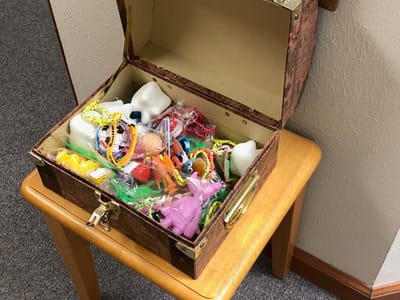 Stacey E. Laiminger D.D.S.