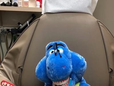 Stacey E. Laiminger D.D.S.