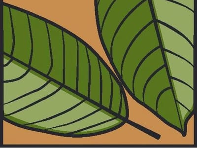 Stefanie Shore, DDS - Sacramento Dentist