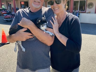 Stephen B. Oldroyd, DMD