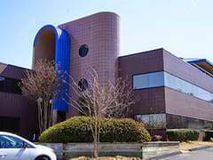 Stephen J. Lindsey DDS