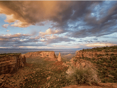 Stephen L Johnson DDS PC