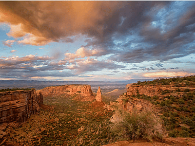 Stephen L Johnson DDS PC