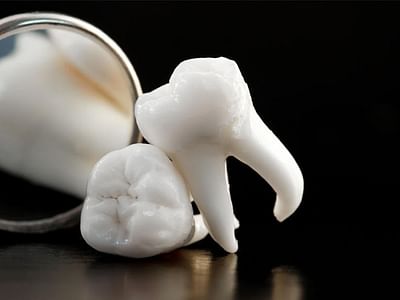 Stephen Sims, D.M.D. Inc