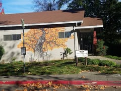 Steven C. Crowson, DMD