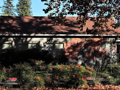 Steven C. Crowson, DMD