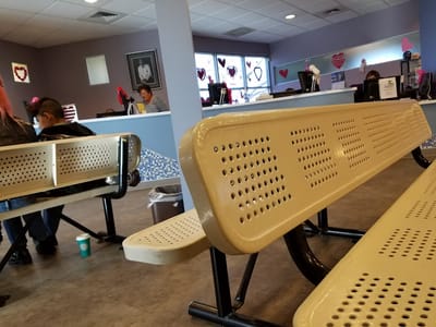 Stevenson's Dental Ark