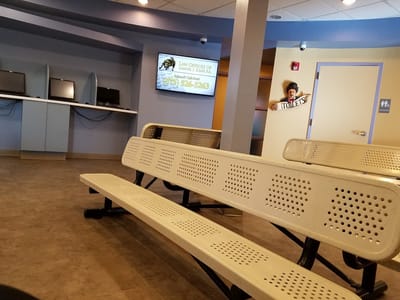 Stevenson's Dental Ark