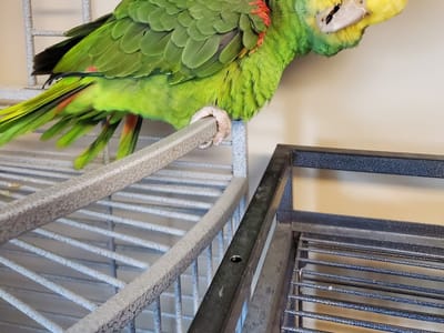 Stockton Dental Center