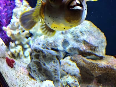 Summerville Family Dentistry