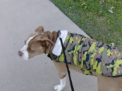 Sunnylane Family Dentistry