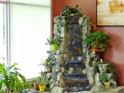 SVT Health & Wellness