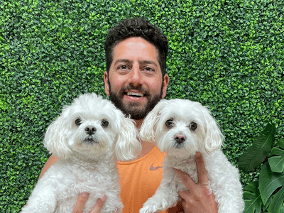 Tampa Palms Dentistry