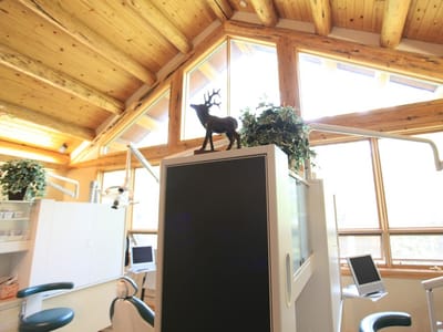 Teton Valley Dental Center